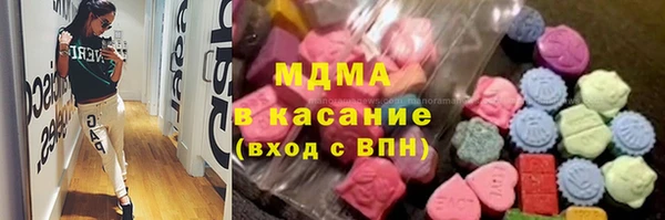 индика Инта