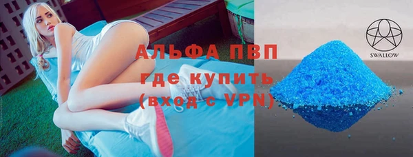 индика Инта