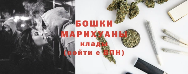 индика Инта
