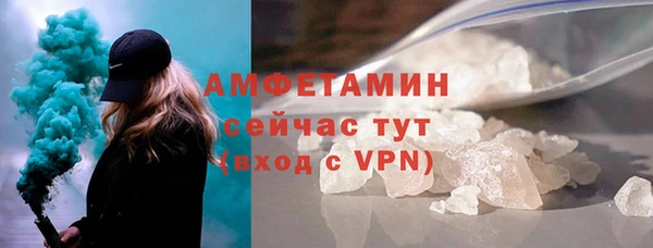 сатива Каменка