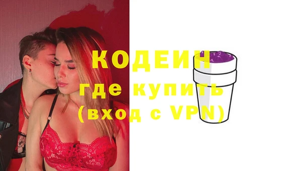 сатива Каменка