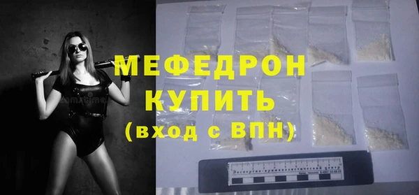 сатива Каменка