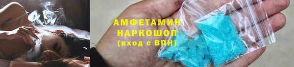 сатива Каменка