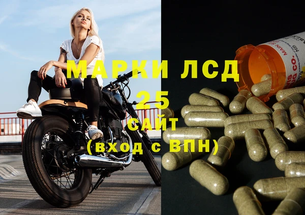 сатива Каменка