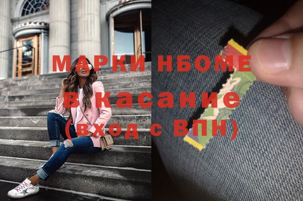 сатива Каменка
