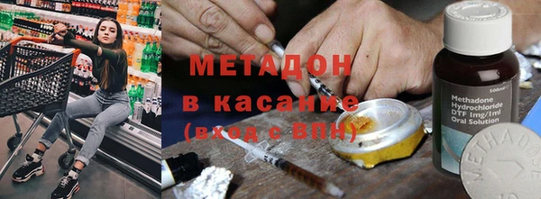 сатива Каменка