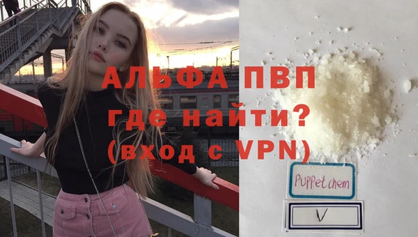 индика Инта