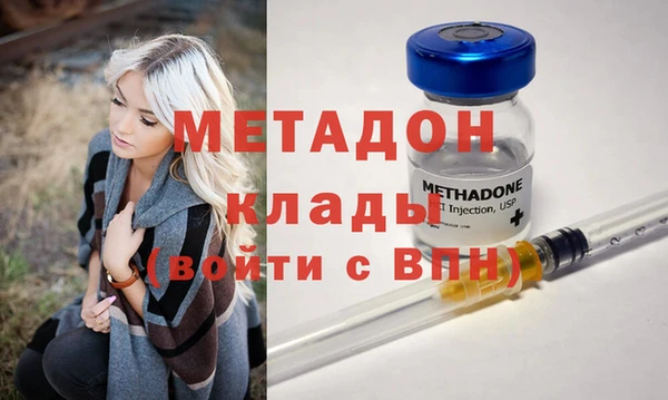 индика Инта