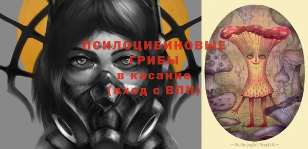 сатива Каменка
