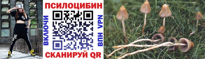 Псилоцибиновые грибы GOLDEN TEACHER  мега ССЫЛКА  Можга  дарнет шоп 